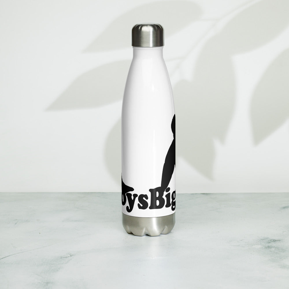 Stainless Steel Water Bottle